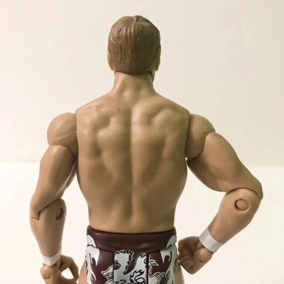 2011  Mattel WWE Wrestling Daniel Bryan Figure WWF WCW - Picture 16 of 16